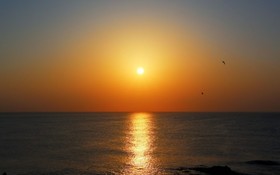 Pohang View 141 Pension