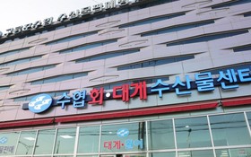 Pohang View 141 Pension