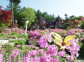 Goodstay Elf Spa Resort