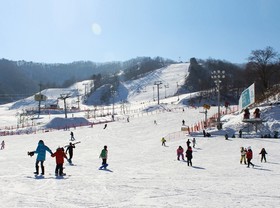 Goodstay Elf Spa Resort