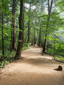 Odae Mountain Healing Town-Golden Light
