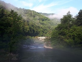 Odae Mountain Healing Town-Golden Light