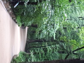 Odae Mountain Healing Town-Golden Light