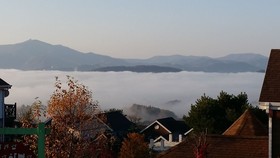 Pungcha & Herb Pension