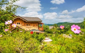 Pyeongchang Dolbaenamu Segeuru Pension