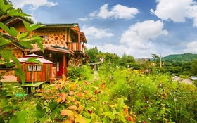 Pyeongchang Dolbaenamu Segeuru Pension