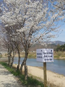 Pyeongchang River House