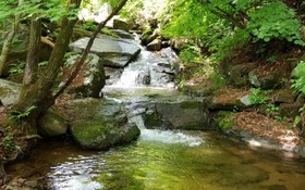 Pyeongchang Shim Pension