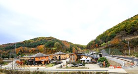 Rodem Tree Pension