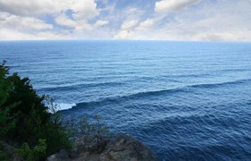 Daegwalnyeonng Wild Floaroma Pension