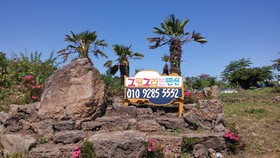 Arting Pension