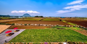 Boreum Pension