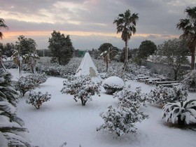 Breakfast at Tiffanys