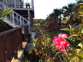 Clover B&B
