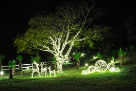 Kensington Resort Jeju Jungmun