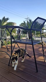 Familia Hotel Jeju