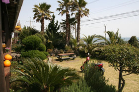 Haevich House Pension
