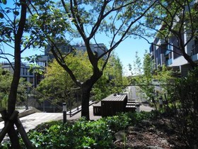 Healthcare Town Resort
