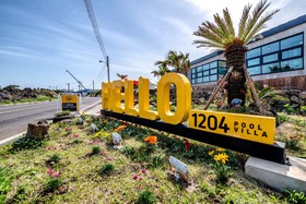Hello 1204
