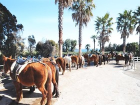 Highland Pension