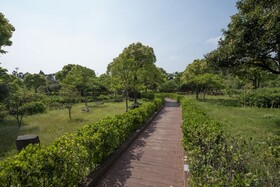 Hotel The Grang Seogwipo