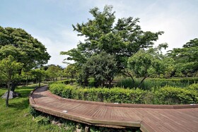 Hotel The Grang Seogwipo