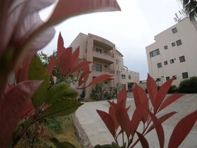 Jedam Pension