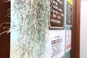 Jeju Ever Guest House