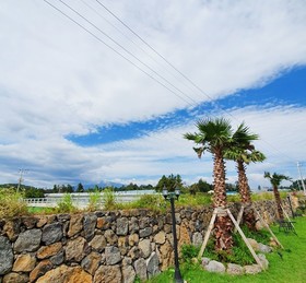 Jeju Ghetto Guest House Party
