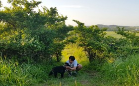 Jeju Joyonghan Guest House Sanbangsan