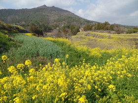 Jeju Jubilee Pension