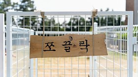 Jeju Maru Hotel & Cafe