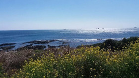 Jeju Pension Yere