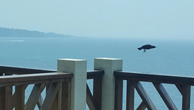 Jeju Pension Yere
