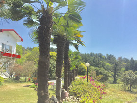 Jeju Red Roof Pension
