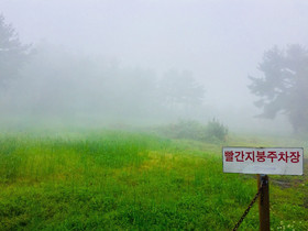 Jeju Red Roof Pension