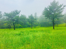 Jeju Red Roof Pension