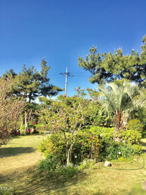 Jeju Red Roof Pension