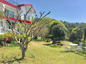 Jeju Red Roof Pension