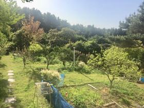 Jeju Red Roof Pension
