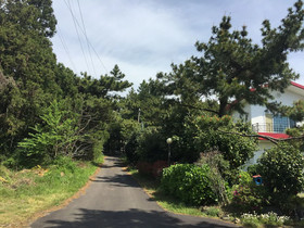 Jeju Red Roof Pension
