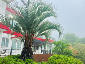 Jeju Red Roof Pension