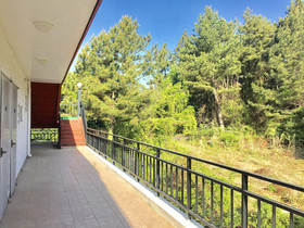 Jeju Red Roof Pension