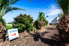 Jeju Turning Point