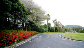 Lake Hills Resort Jeju