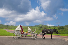 Phoenix Jeju