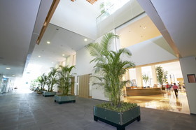 Phoenix Jeju