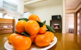 Seoguipo Lucky Clover Pension