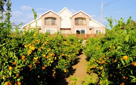 Seoguipo Lucky Clover Pension