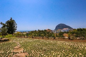 Seogwipo Gonmul Swimpang Pension